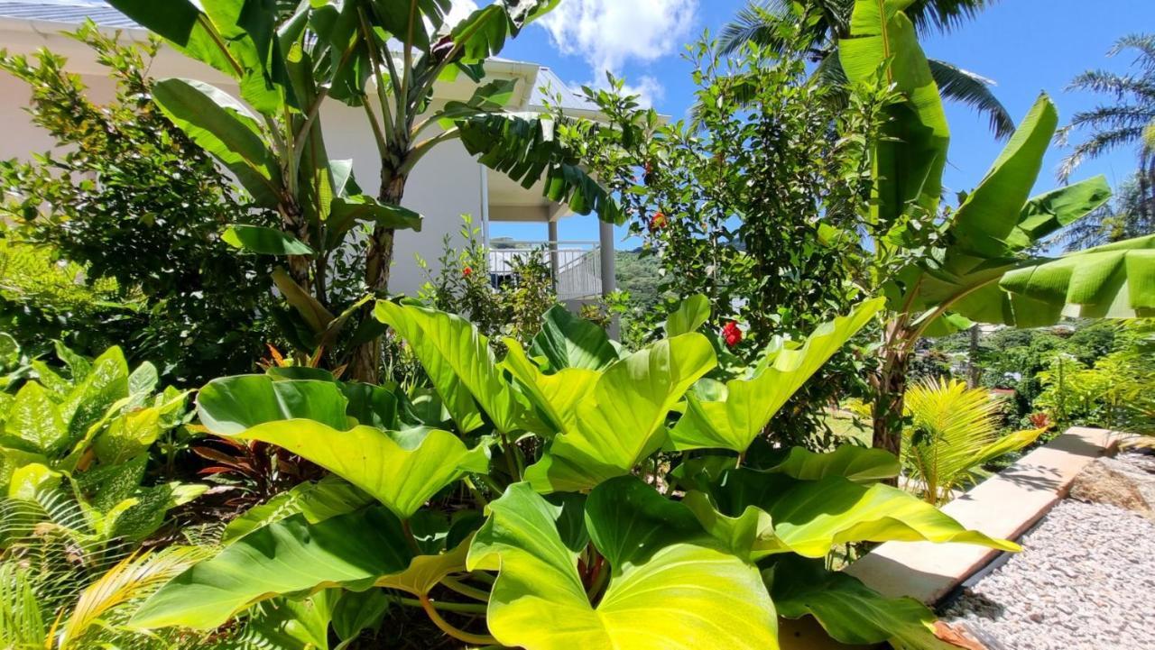 Aparthotel La Trouvaille Anse a La Mouche Exterior foto